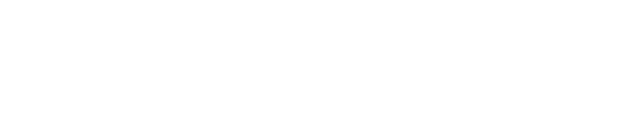 Digit Soft